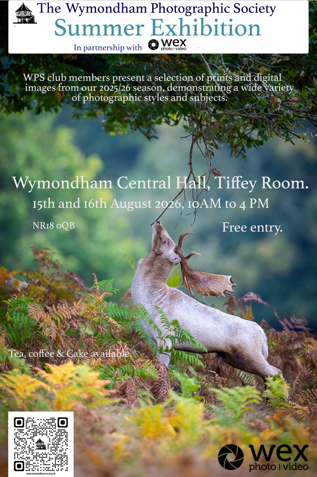 Flyer with a photograph of a deer, advertising an exhibition 