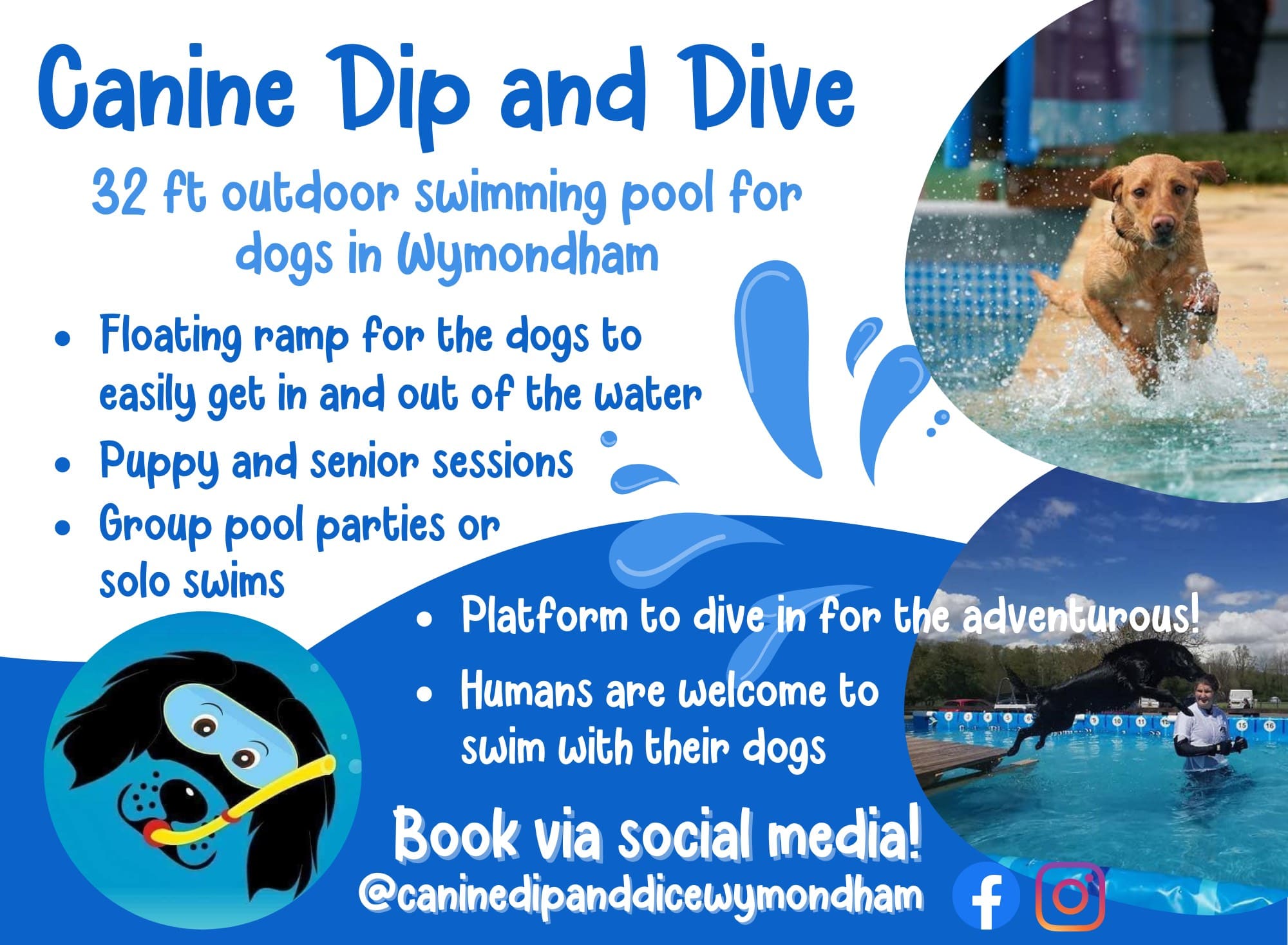 Canine Dip and Dive Advert