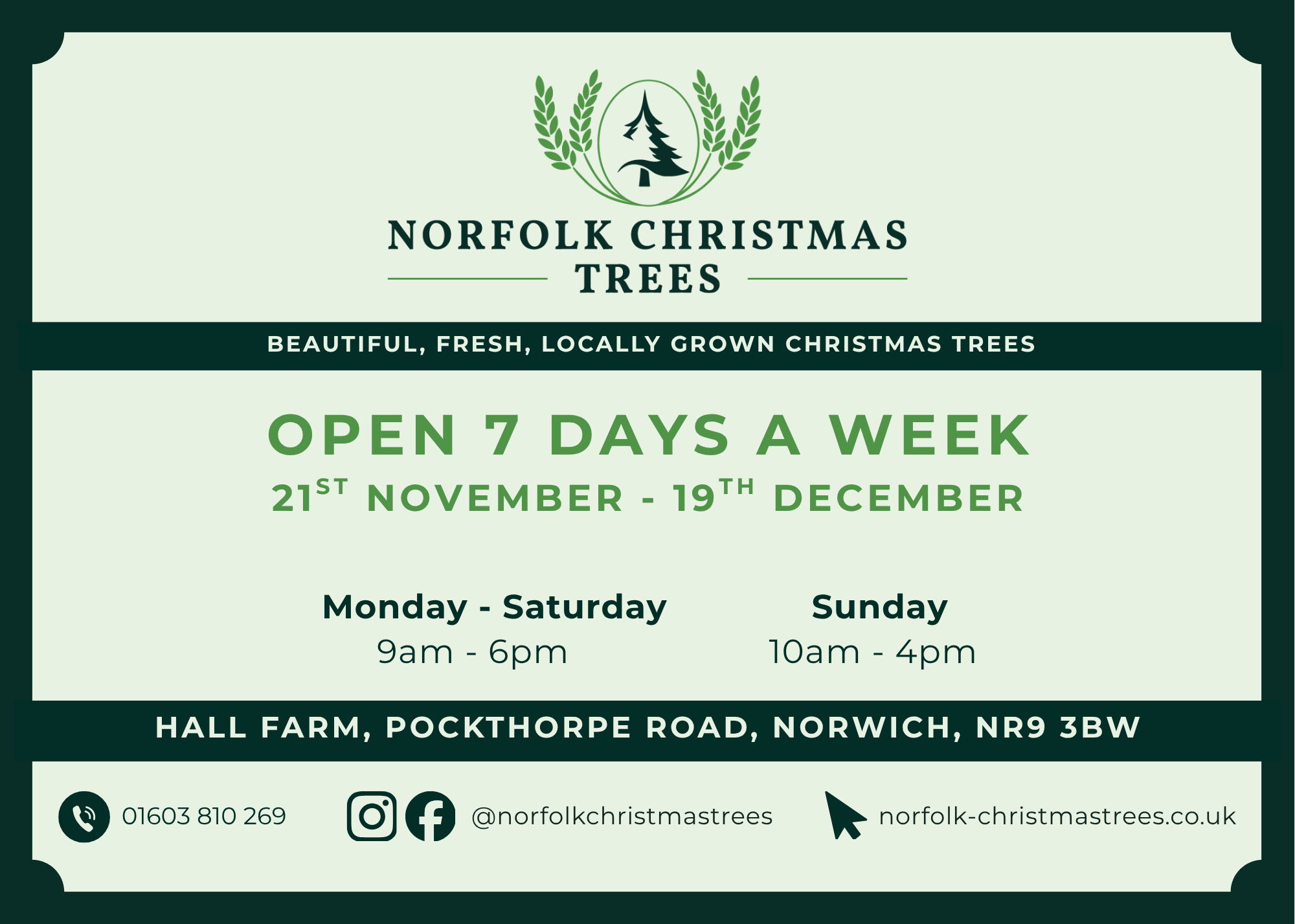 Norfolk Christmas Trees 2025 Advert