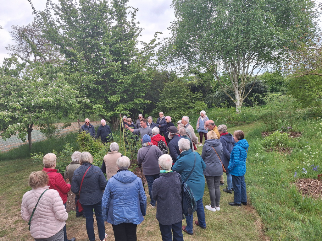 Group of people walking in a line outside