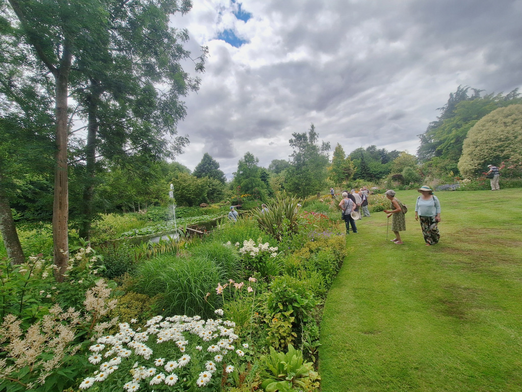 People exploring greenery