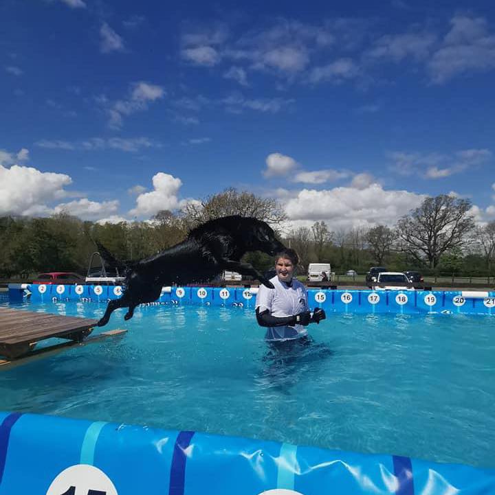 Canine dip leap