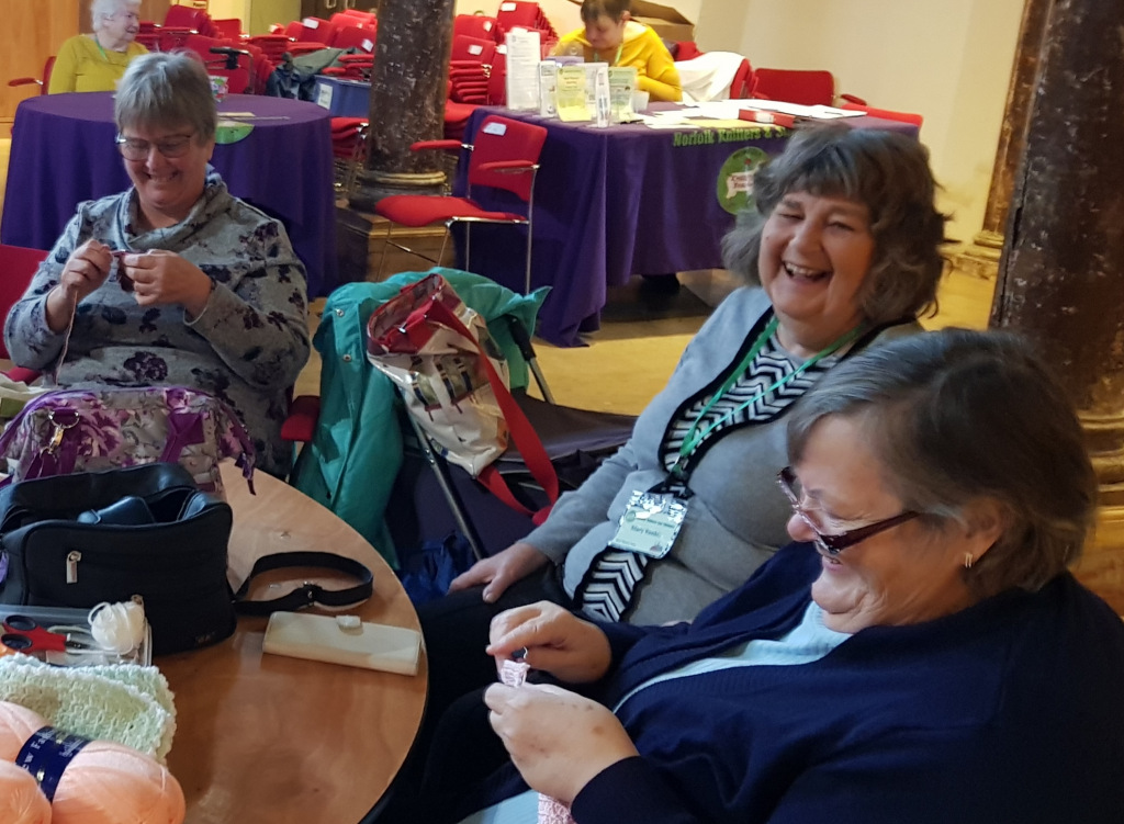 Knitters at the Carnival of Colour