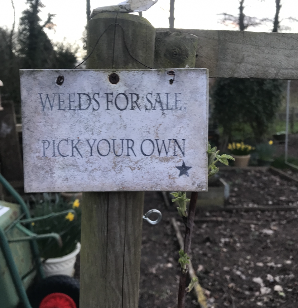 Sign that reads 'Weeds for Sale, Pick Your Own'