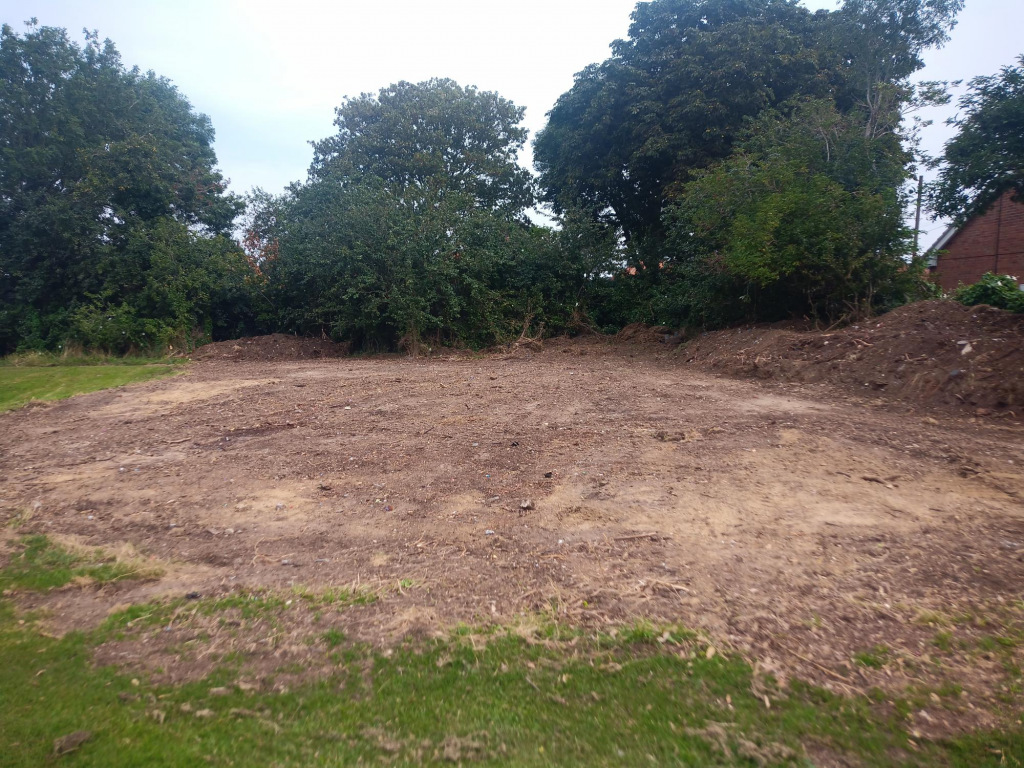 Some exposed soil