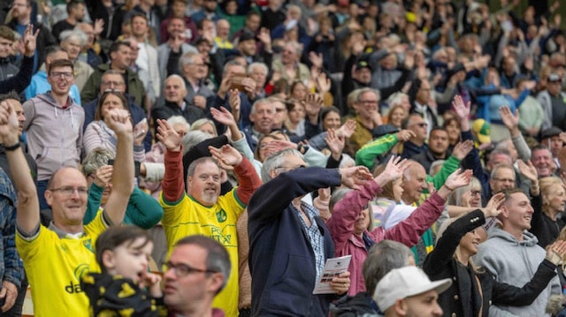 Crowd at match