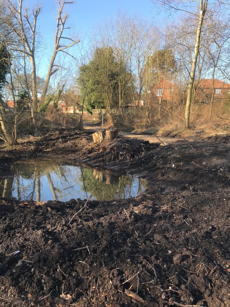 Greening path with a big puddle of water