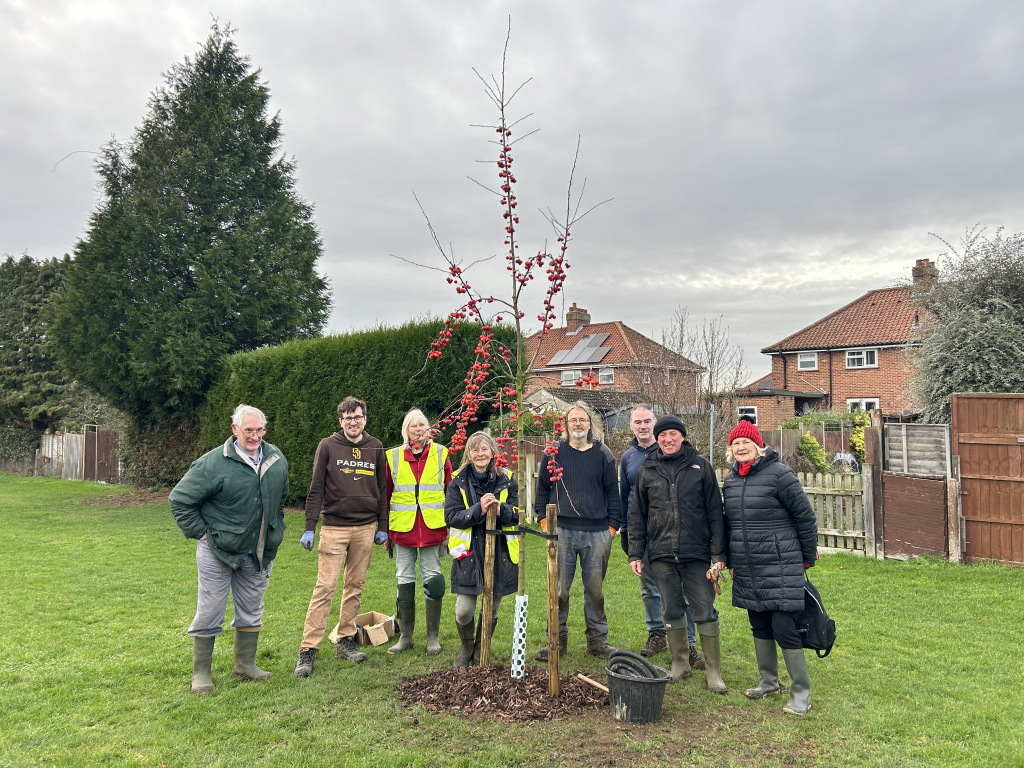 People standing by a tree