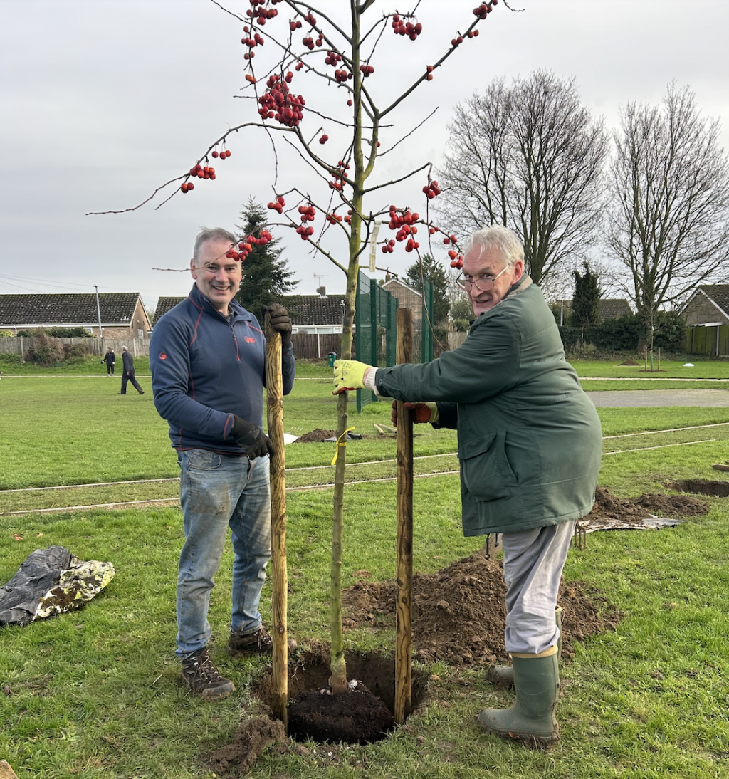 Two men planting a tree