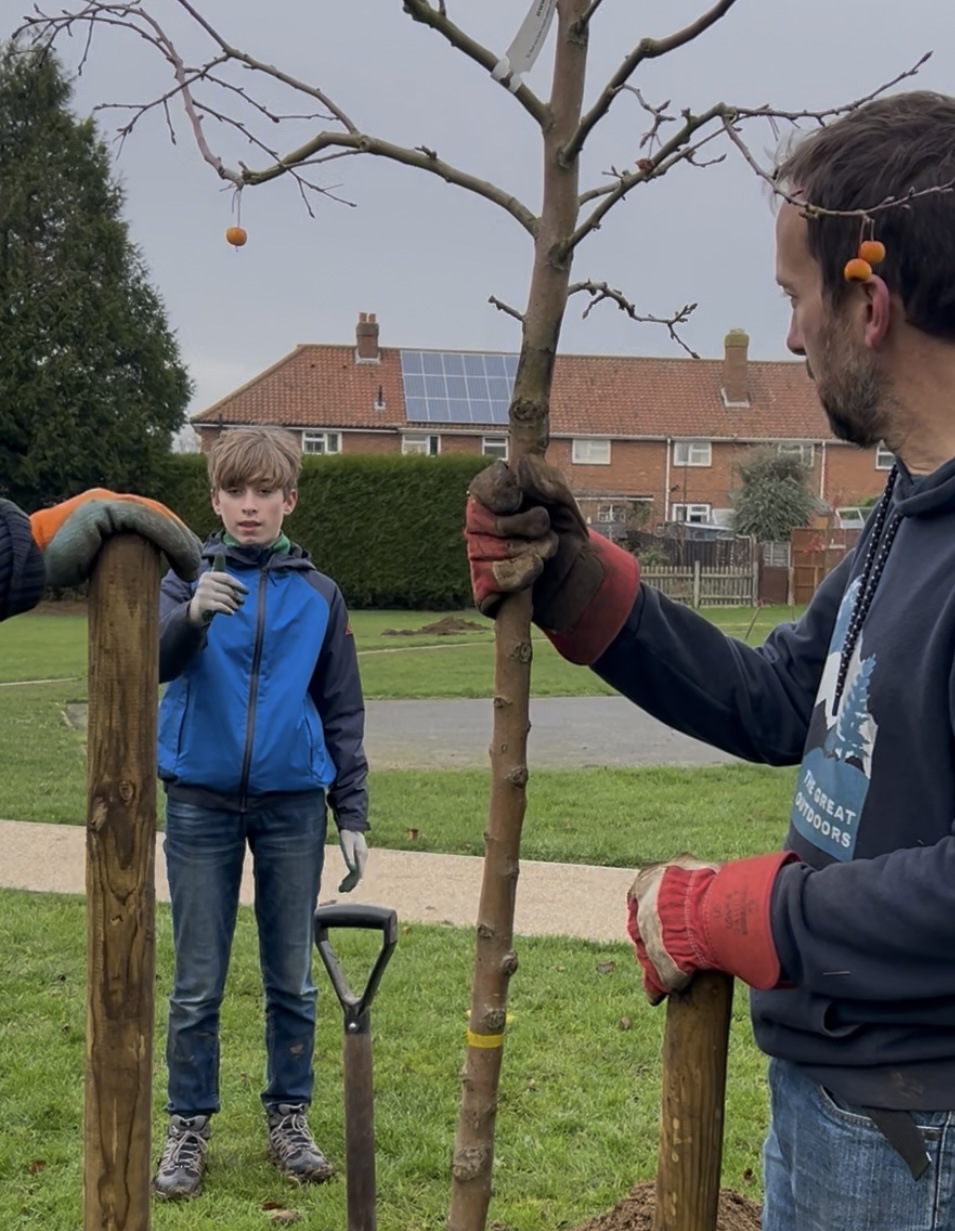 A boy watching as a man plants a tree