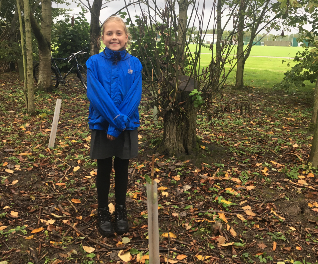 Girl planting tree