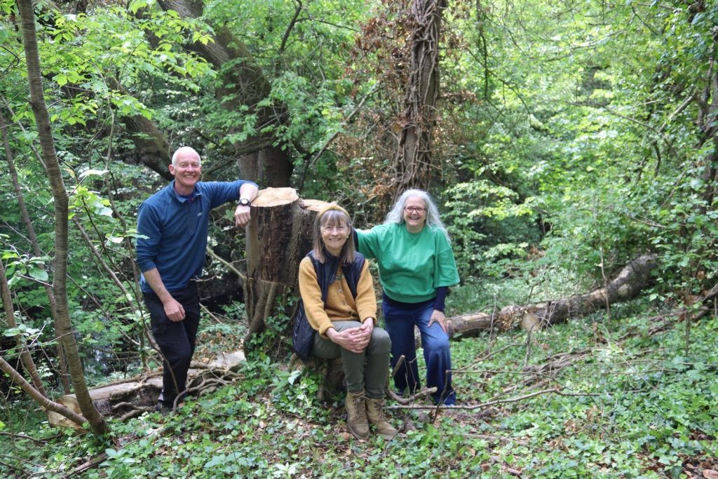 Three people in a wood