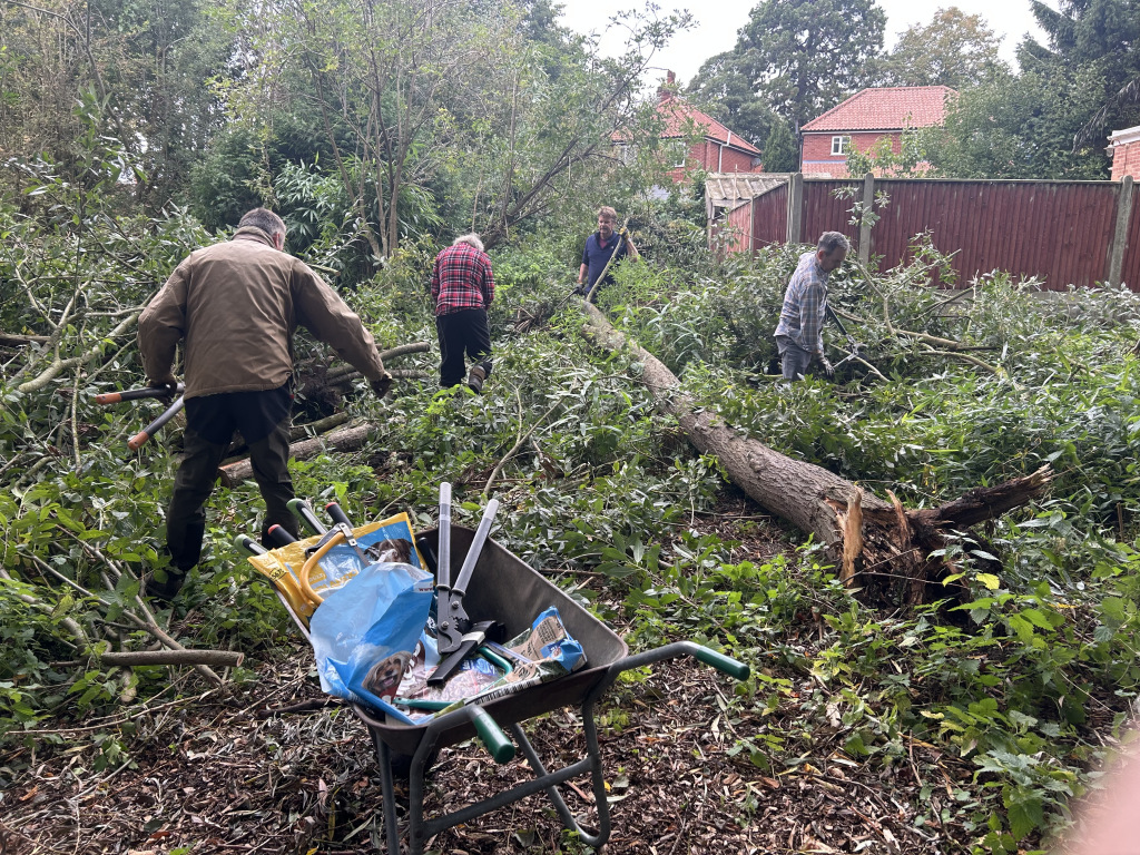 Men planting trees in a forest
