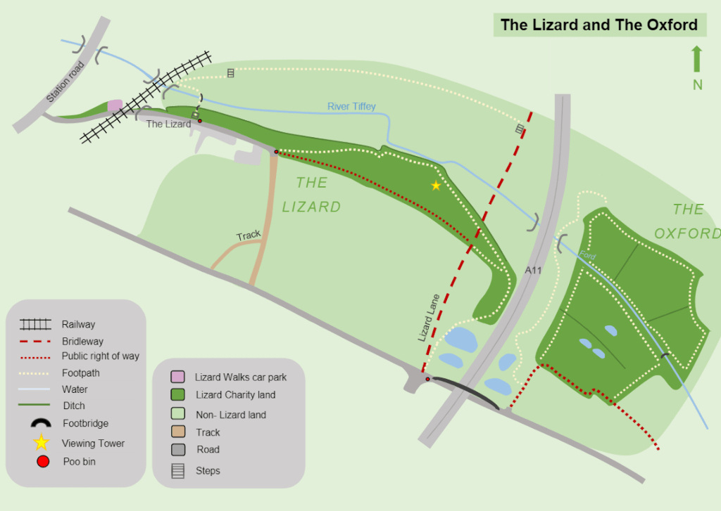 Map of The Lizard and The Oxford