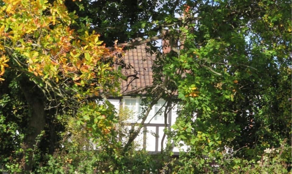 A house through some trees