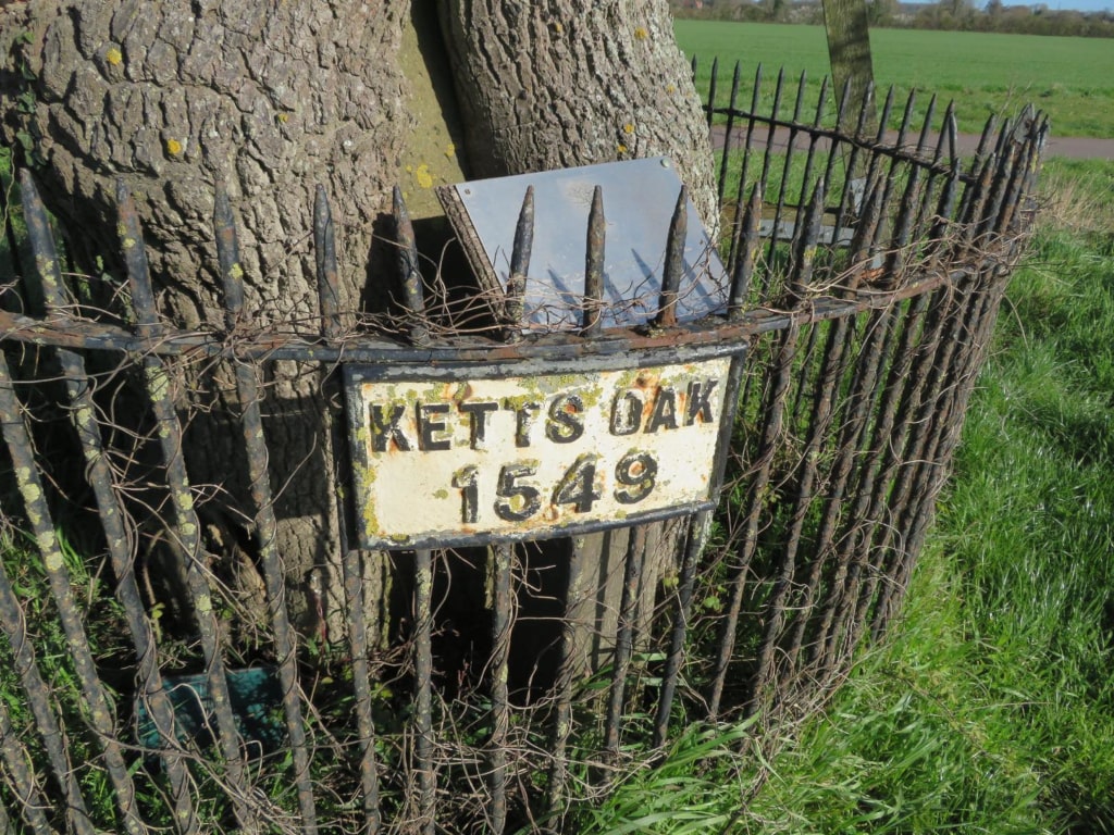 A sign on a fence around Kett's Oak that reads 