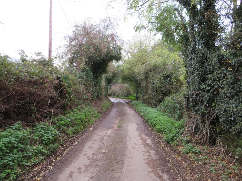 An image of Lady's Lane