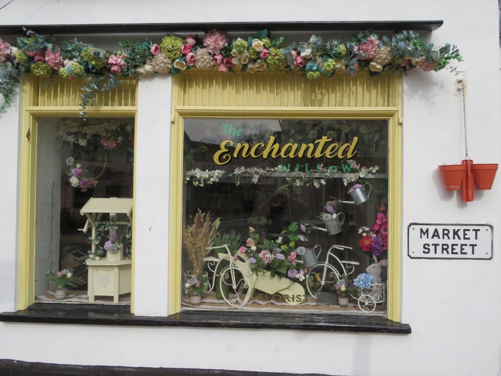 The Enchanted Willow on Market Street