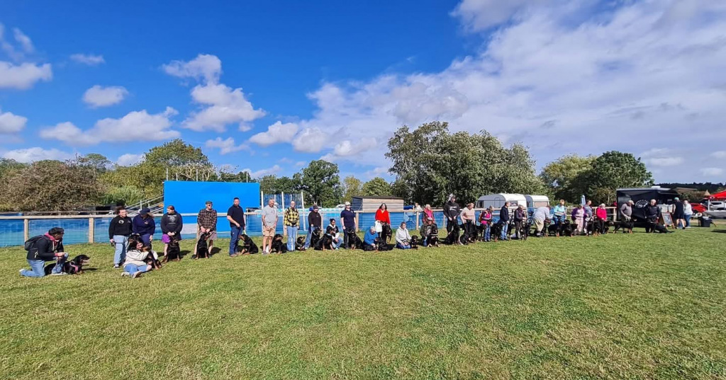 Field with dogs and owners lined up