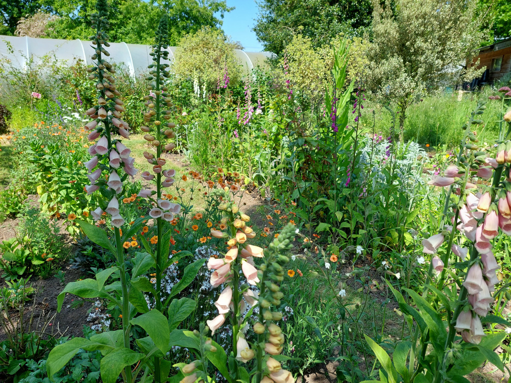 Gissing open gardens