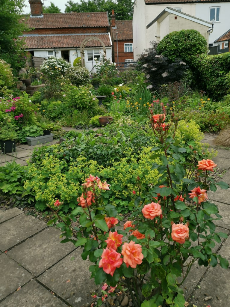 Peach flowers with greenery in outside garden