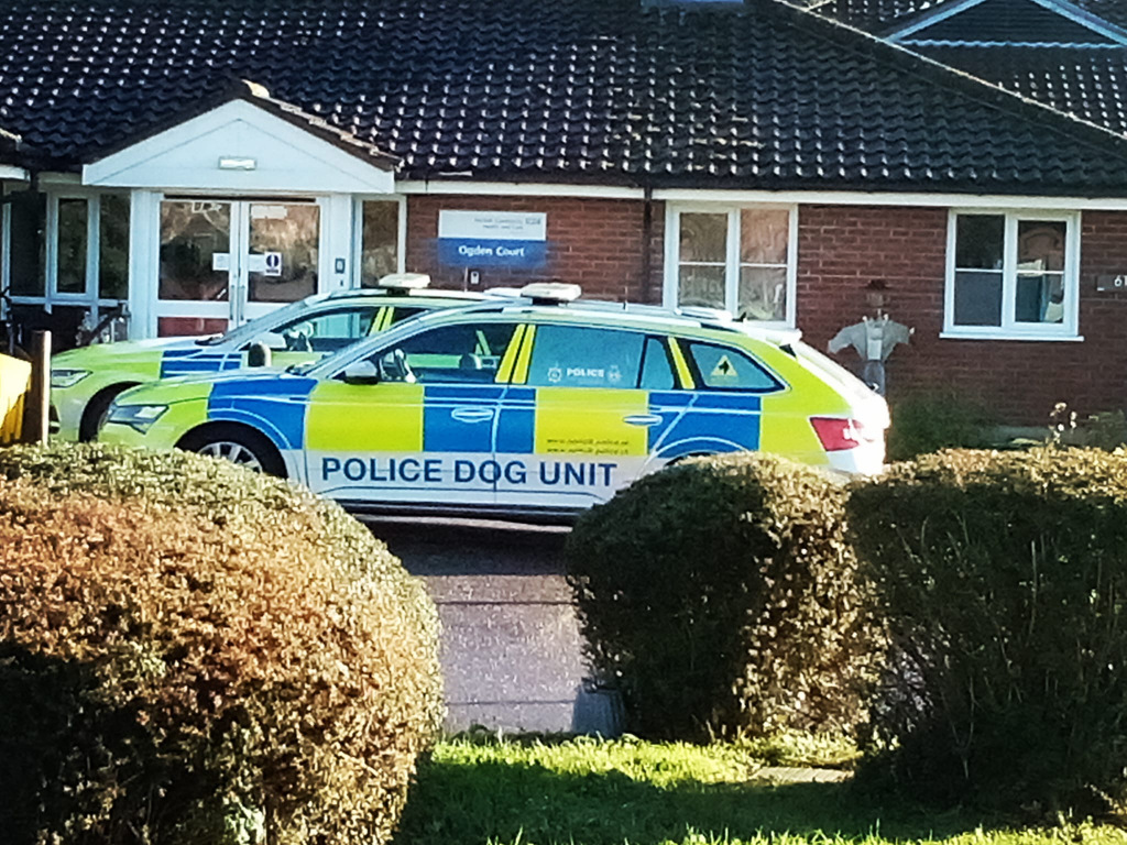 Police car with the words 'Police Dog Unit' emblazoned on the outside