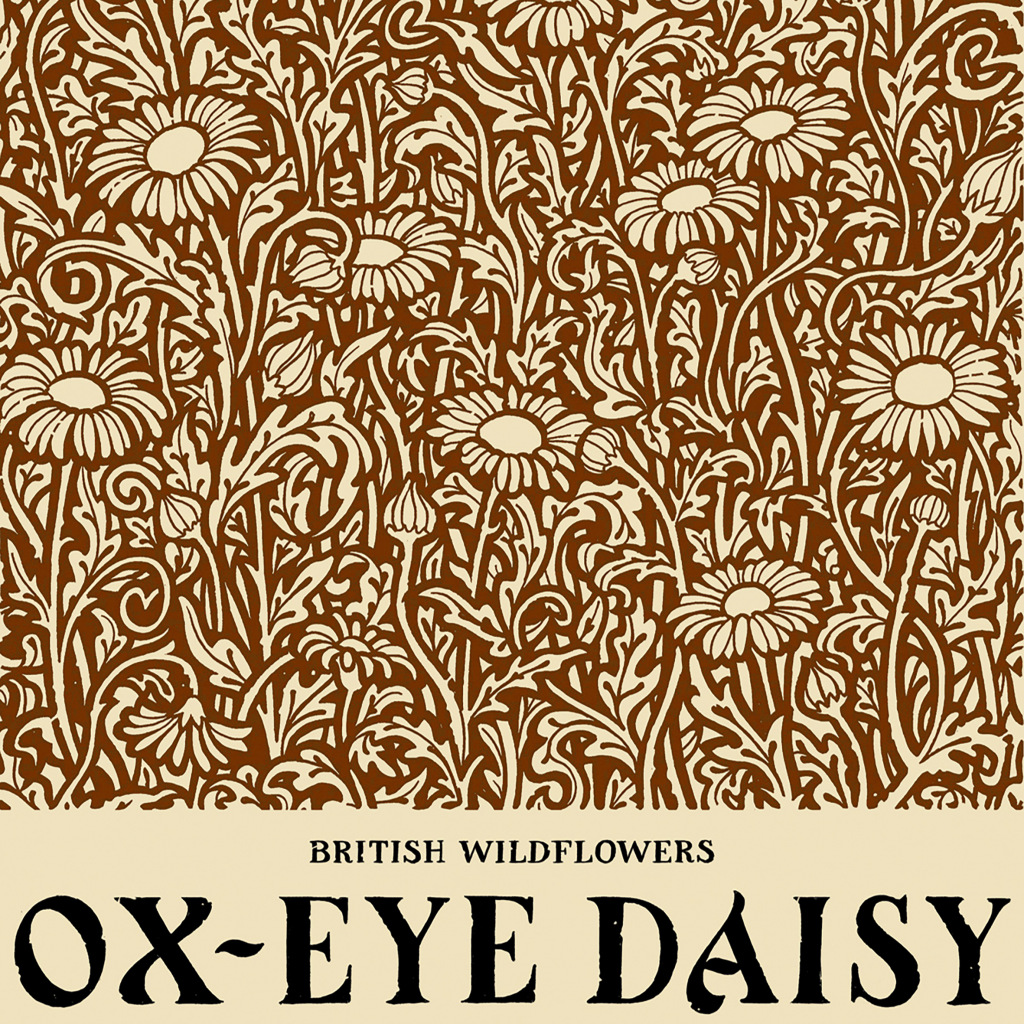 A print of a daisy field