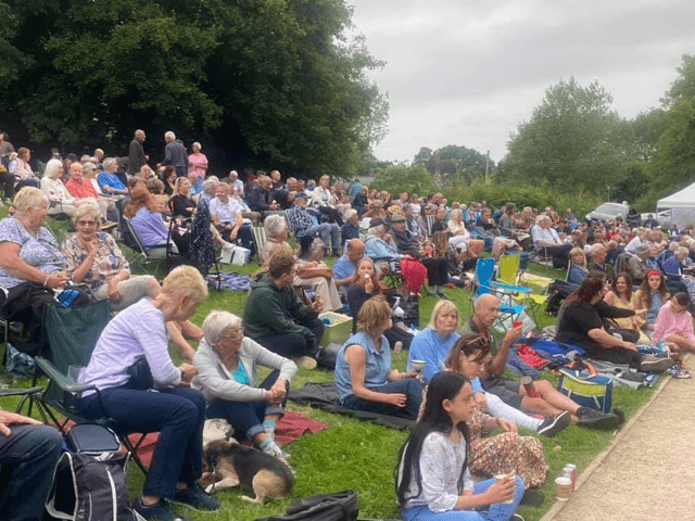 Jazz picnic audience