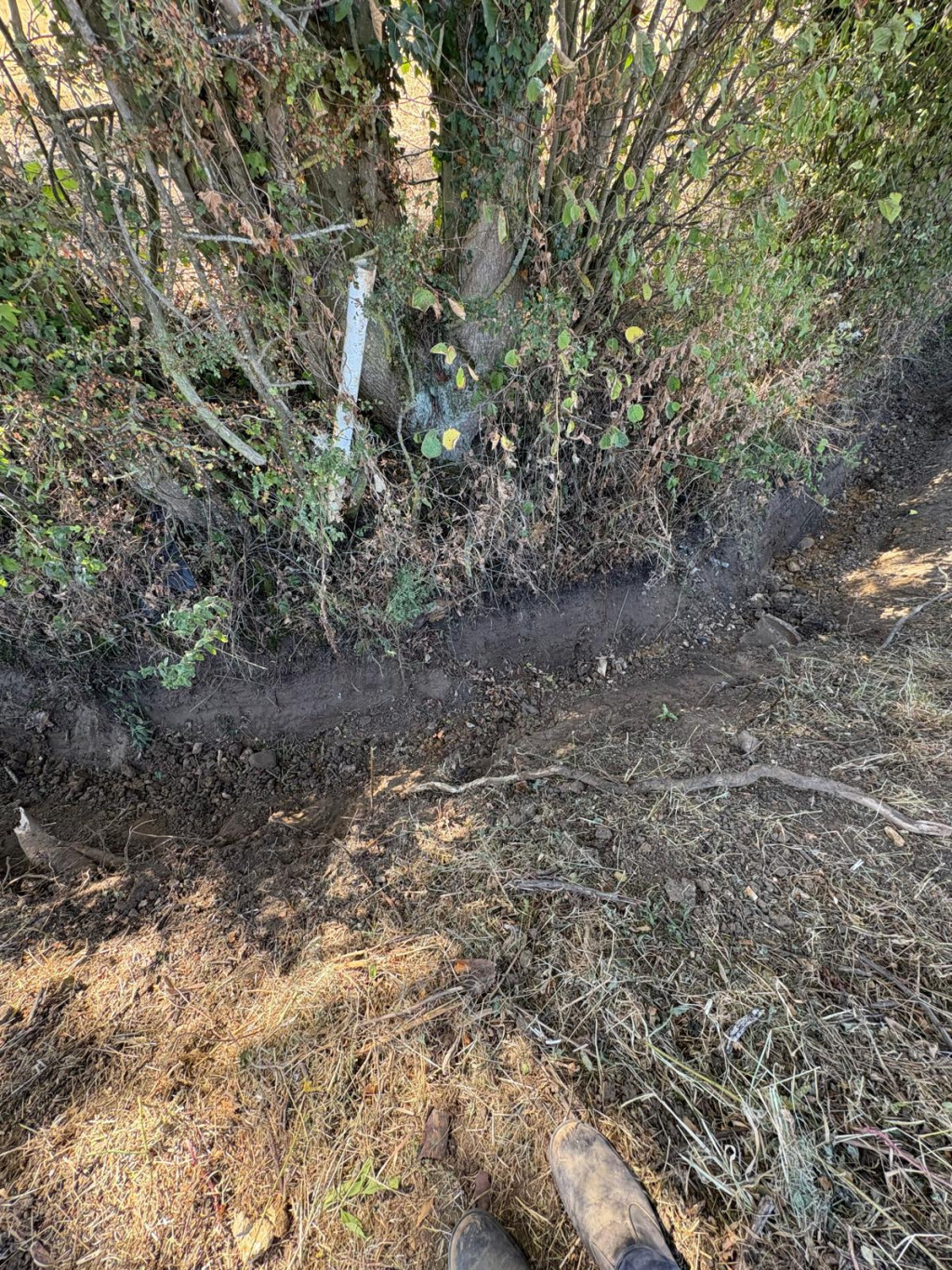 A ditch