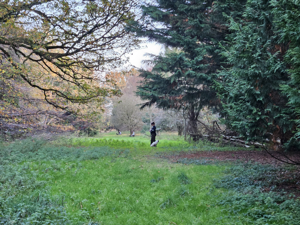 Man in a field surrounded by dogs, holding a gun