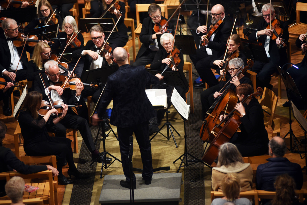 Orchestra with a conductor