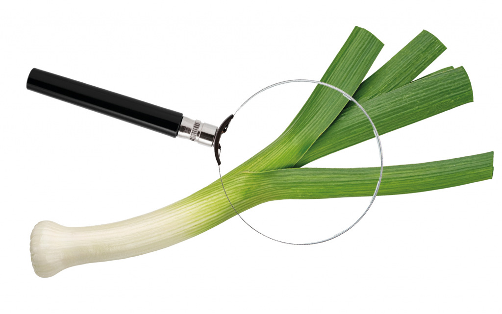 A leek with a magnifying glass