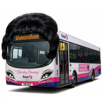 A bus that looks like Shirley Bassey