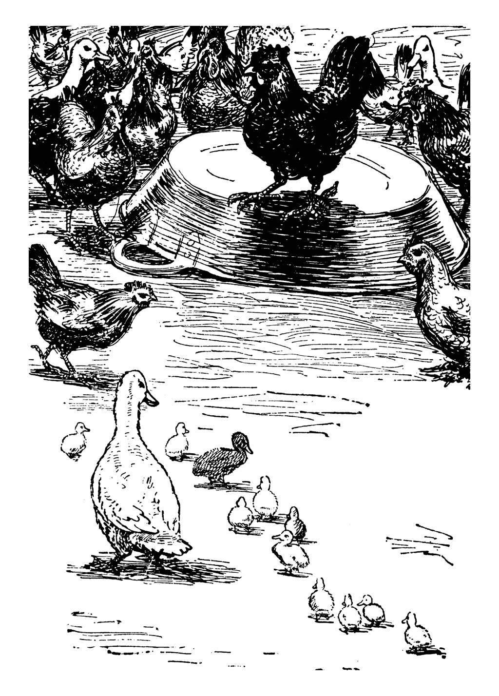 Illustration of the Ugly Duckling