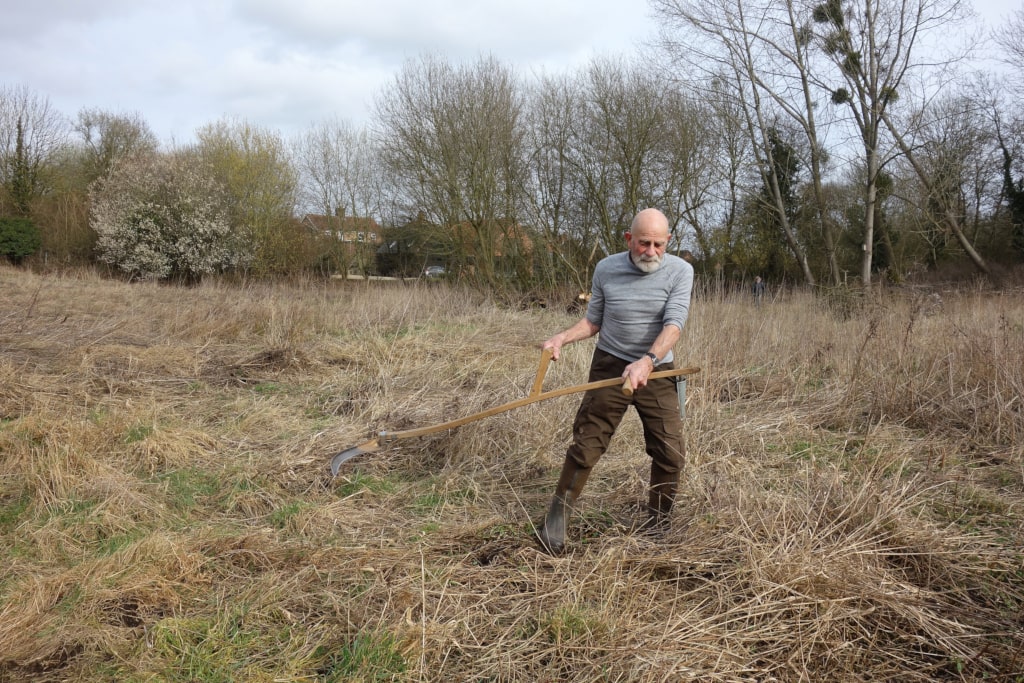 Q&A with John Beckett: Warden at Toll’s Meadow