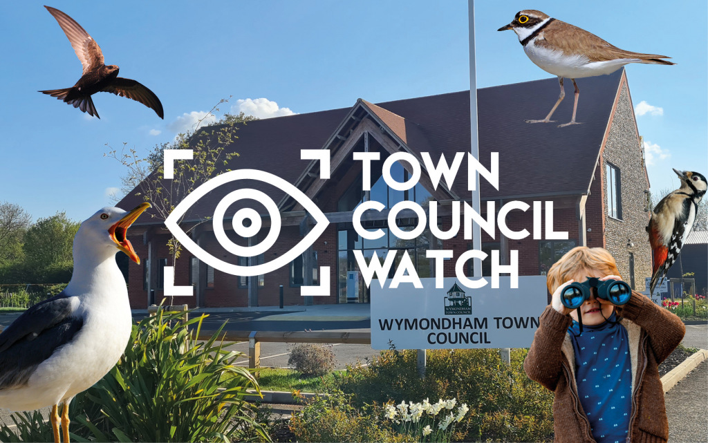 Montage of Wymondham Town Council's headquarters and various birds and birdspotters