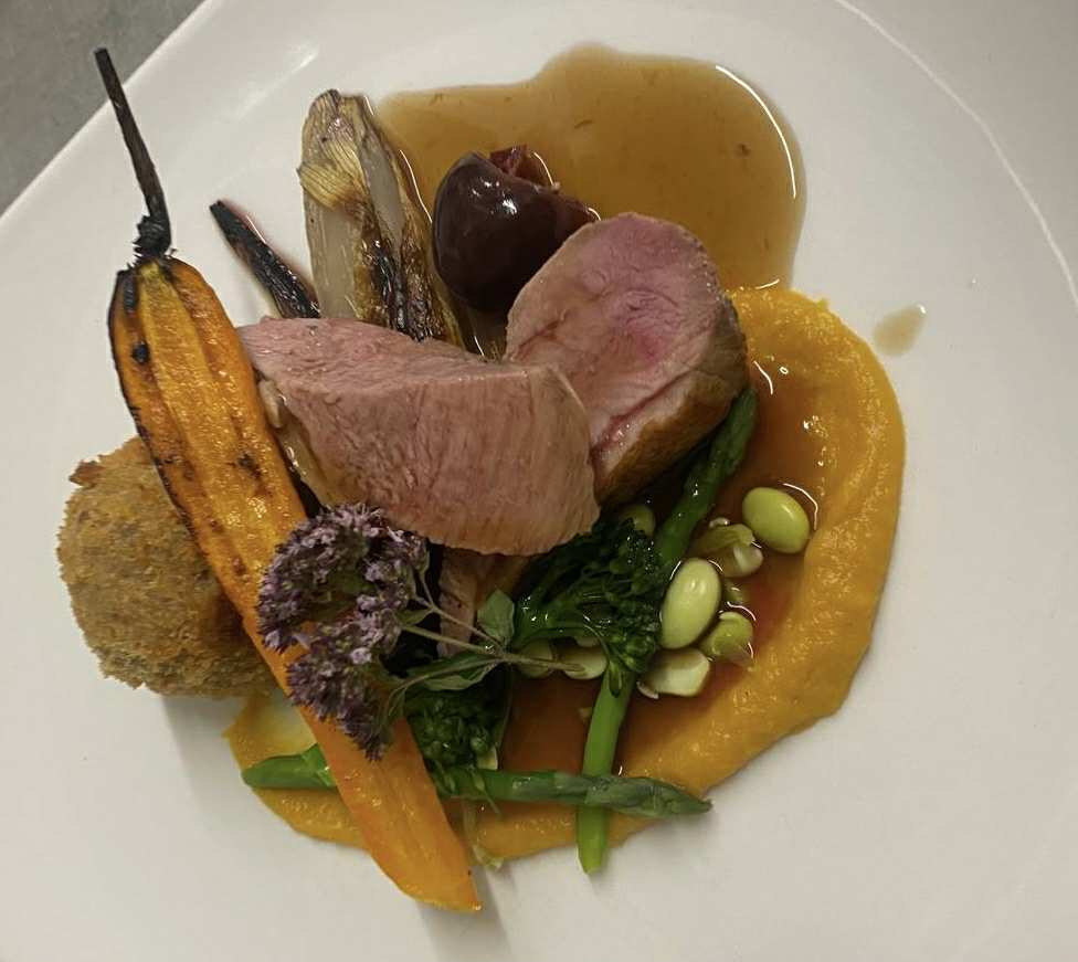 A nice looking duck dish