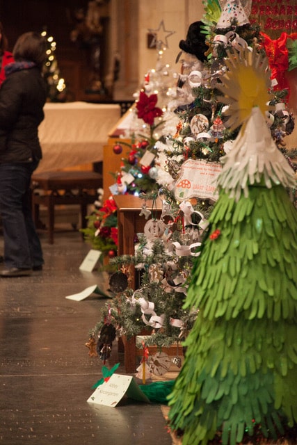 Multiple trees at the tree festival