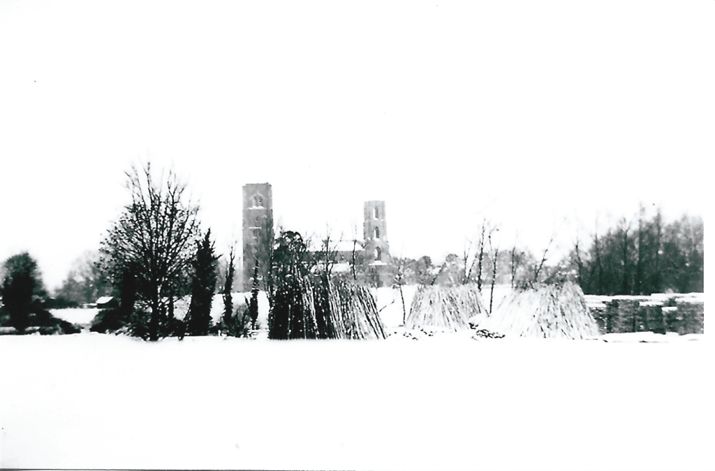 Wymondham Abbey from Briton Brush's yard