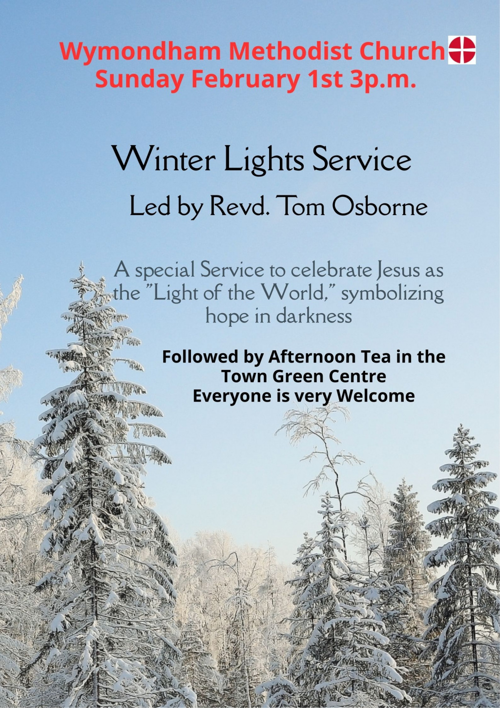Flyer for a winter lights service