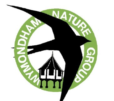 Nature group logo with bird and market cross
