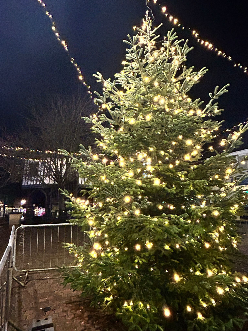 Christmas tree with lights shining at night